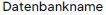 Datenbankname in der Übersicht