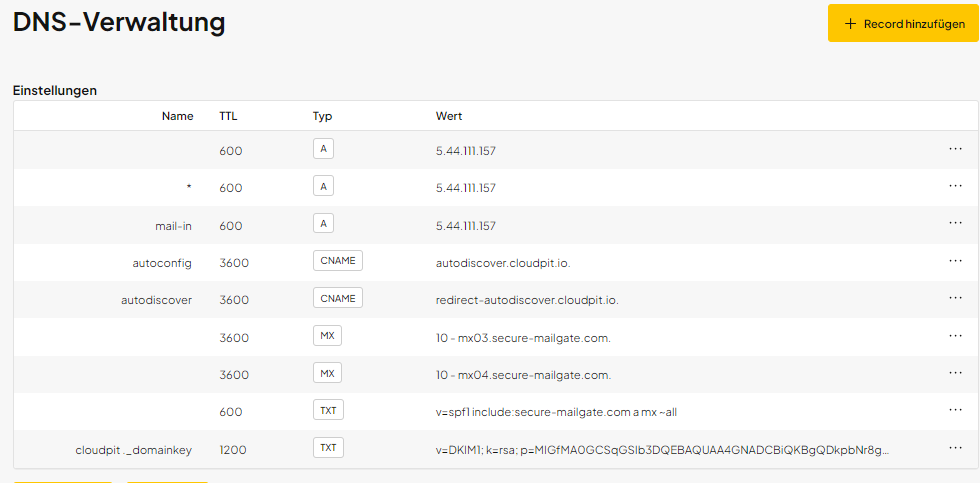 DNS-Übersicht einer Domain in oneHome